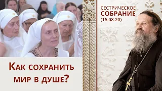 Как сохранить мир в душе? Сестрическое собрание с о. Андреем Лемешонком 16.08.2020