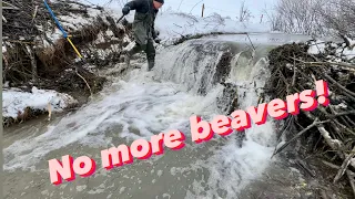 Beaver Dam Removal. Hunters.