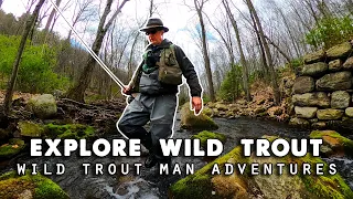 Fly Fish & Explore PA Wilds for Native Trout - Amazing Discoveries