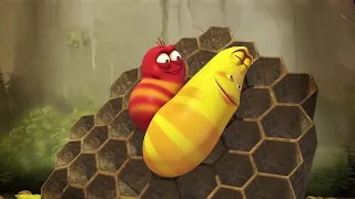 LARVA - EL ABEJORRO | 2018 Completa | Dibujos animados para niños | WildBrain Videos For Kids