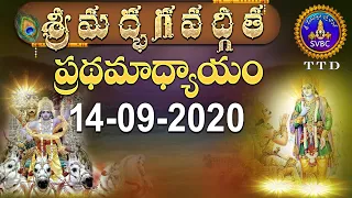 శ్రీమద్భగవద్గీత | SRIMADBHAGAVADGITA | TIRUMALA | 14-09-2020 | SVBC TTD