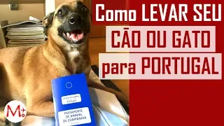 Como LEVAR seu CACHORRO para PORTUGAL | Canal Maximizar