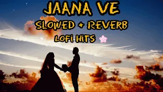 Jaana Ve | Slowed + Reverb | Arijit singh | lofi song #lofi #arijitsingh #lofisong