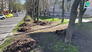 Загальноміська толока з очищення та благоустрою території міста