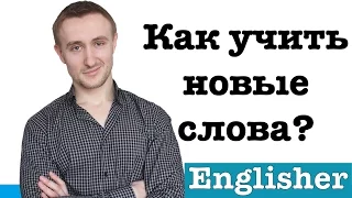 Как правильно учить новые слова?