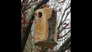 Tournage d'un nichoir pour oiseaux divers en Frêne