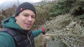Kompost - Mit Walzenhäcksler und Heppe durch den Garten