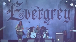 EVERGREY   2017