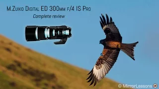 Olympus M.Zuiko 300mm f/4 Pro Review