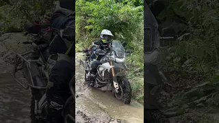 TIGER 900 Rally Pro & ANAKEE Wild vs MASSIVE PUDDLE