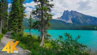 2 HRS Virtual Walk around Emerald Lake, Yoho National Park - 4K Nature Walking Tour + Birds Chirping