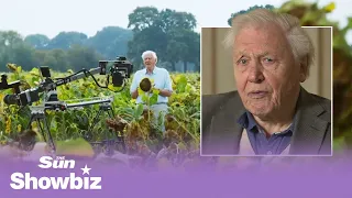 Sir David Attenborough hopes Green Planet will make people realise the importance of plants