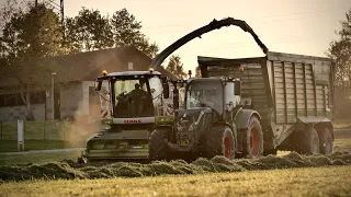 1. Schnitt 2022 bei einem Milchviehbetrieb // Fendt, Claas, Pöttinger und Korne !