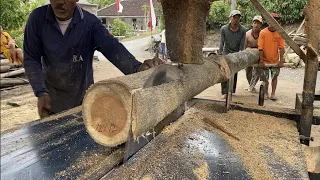 Rumit !! Proses penggergajian kayu panjang 6 meter diolah menjadi balok ukuran 12x12 bahan joglo