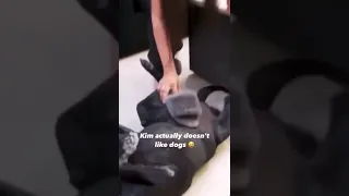 Kim Doesn’t Like Dogs tiktok thedashjenner