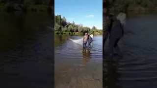 WhatsApp рыбалка 🎣