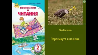 Перекинута шпаківня – Ліна Костенко