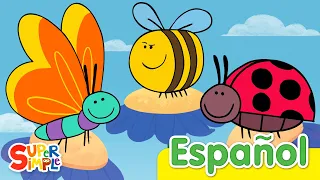 Mariposa Mariquita Abejorro | Canciones Infantiles