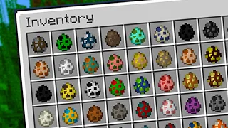 I obtained spawn eggs in Survival Minecraft...