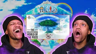 The Breathtaking World Of One Piece | ONE PIECE | REACTION | This Is Beautiful