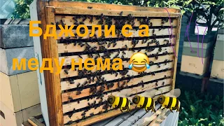 Бджоли є а меду нема ;)))