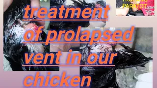 prolapsed vent treatment