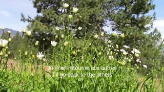 Daisies and Francoise Hardy Voila with Lyrics and Translation