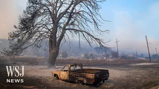 Europe's Heat Wave: Wildfires Leave Trail of Destruction in Greece | WSJ News