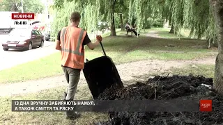 У Львові на вулиці Панча впорядковують озеро