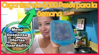 🔴Así Organizo mi Gasto Semanal con💲800 Pesos para 4 personas|Guardadito de Despensa💚