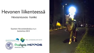 Hevonen liikenteessä