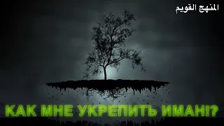 КАК УКРЕПИТЬ ИМАН?