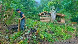 Facing the rainforest rain, banana plantation - Off Grid Living | Ep. 20