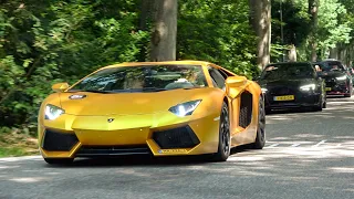 Lamborghini Aventador LP700-4 with CAPRISTO Exhaust - LOUD Revs, Flames, Accelerations +URUS Novitec