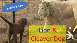 The Clever Dog and the Foolish Lion | Short Story #mastershivansh