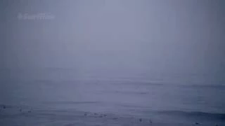 Great White Shark breaches at Ocean Beach