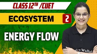 Ecosystem 02 | Energy Flow | Class 12th/CUET