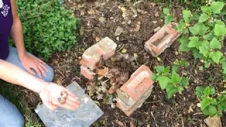 How to Build a Bug Hotel (Step by Step Guide)| Mission: Invertebrate (The Royal Parks)