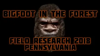 BIGFOOT IN THE FOREST - FIELD RESEARCH 2018