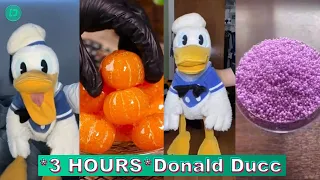 *3 HOURS* Donald Ducc TikTok Compilations 2024 | Best Donald Ducc TikTok Videos