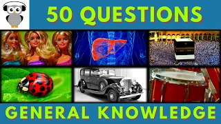 General Knowledge Quiz Trivia #19 | Barbie, Liver Inflammation, Mecca, Ladybird, Rolls Royce, Drum