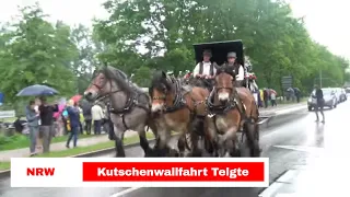 🏇 Pferdekutsche auf Kutschenwallfahrt Telgte 2018