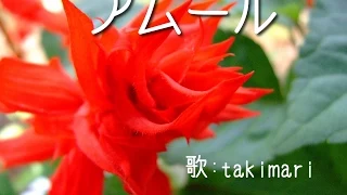 アムール ( サーカス ) 自作伴奏cover / 歌：takimari