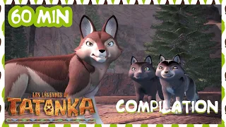 Tatonka en français 🐺 Compilation 1H 👀 La Grande Menace 🐺 Dessins animés