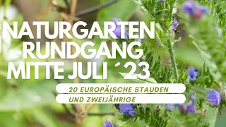 Naturgarten Rundgang im Juli ´23 - 20 heimische Wildstauden