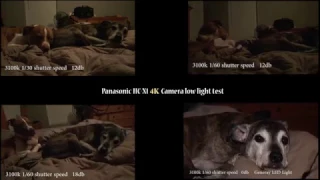 Panasonic HC-X1 LIghting, Gain, and Shutter Test UHD 4K