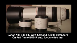 Canon 100-400 II L with 1.4x and 2.0X III extenders on EOS R focus test full frame