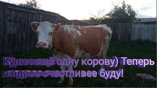 Купил ещё одну корову) Теперь я вдвое счастливее буду!