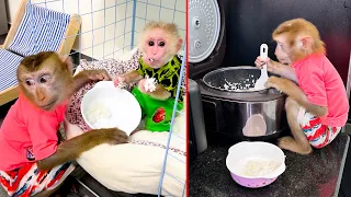 Monkey Kaka is smart and knows how to use a spoon to scoop rice