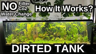 How Do DIRTED TANKS Work? Aquarium Guide